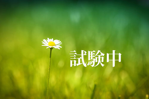 �C���[�W